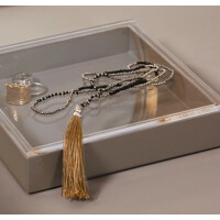 Plexi Deckel zu Tablett
