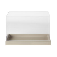 Plexglas,Rechteckig, Tablett, Behälter